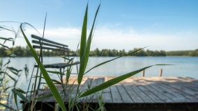 Jezioro Kraksztyn - zdjęcie 14