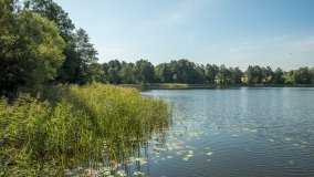 Jezioro Kraksztyn - zdjęcie 5