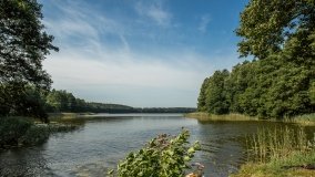 Jezioro Lipińskie - zdjęcie 8