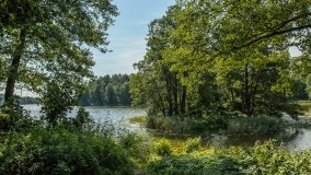 Jezioro Lipińskie - zdjęcie 2