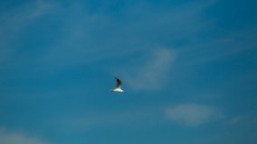 Jezioro Szarek - zdjęcie 22