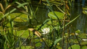 Jezioro Szarek - zdjęcie 13