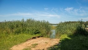 Jezioro Szarek - zdjęcie 8