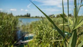 Jezioro Sunowo - zdjęcie 21