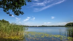 Jezioro Woszczelskie - zdjęcie 7