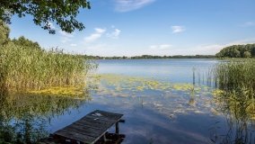 Jezioro Woszczelskie - zdjęcie 6