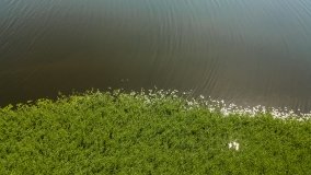 Jezioro Stackie - zdjęcie 6