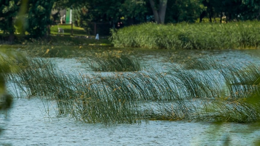 Jezioro Rajgrodzkie - zdjęcie 1