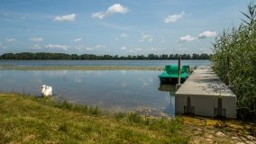 jezioro Przepiórka - zdjęcie 14