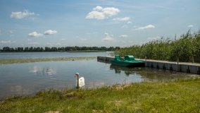 jezioro Przepiórka - zdjęcie 12