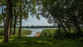 jezioro Przepiórka - zdjęcie 8