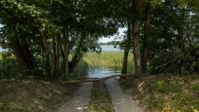 Jezioro Białe - zdjęcie 8