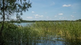 Jezioro Białe - zdjęcie 7