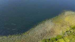 Jezioro Białe - zdjęcie 6