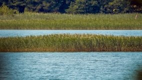 Jezioro Białe - zdjęcie 4