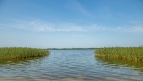 Jezioro Dręstwo - zdjęcie 21