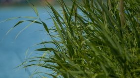 Jezioro Dręstwo - zdjęcie 20