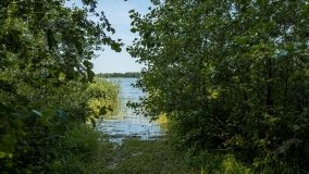 Jezioro Dręstwo - zdjęcie 8