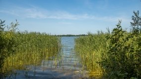 Jezioro Dręstwo - zdjęcie 7