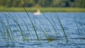 Jezioro Dręstwo - zdjęcie 4