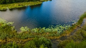 Jezioro Dudeckie - zdjęcie 9