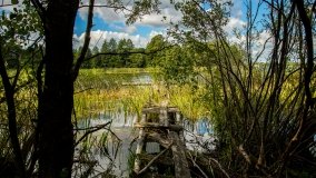 Jezioro Dudeckie - zdjęcie 2