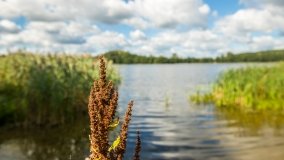 Jezioro Małe k. Olecka - zdjęcie 23