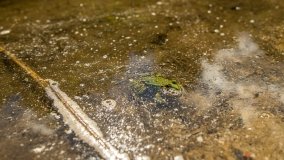 Jezioro Małe k. Olecka - zdjęcie 14