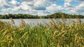 Jezioro Małe k. Olecka - zdjęcie 11