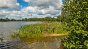 Jezioro Małe k. Olecka - zdjęcie 7