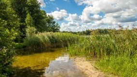 Jezioro Małe k. Olecka - zdjęcie 6