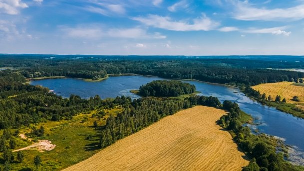 Siercze - zdjęcie 10