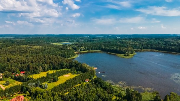 Siercze - zdjęcie 9