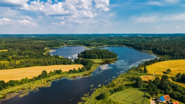 Siercze - zdjęcie 7