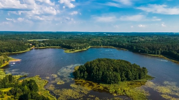 Siercze - zdjęcie 5