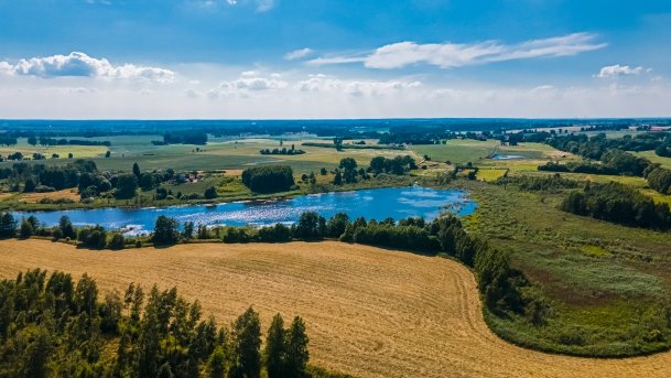 Siercze - zdjęcie 4