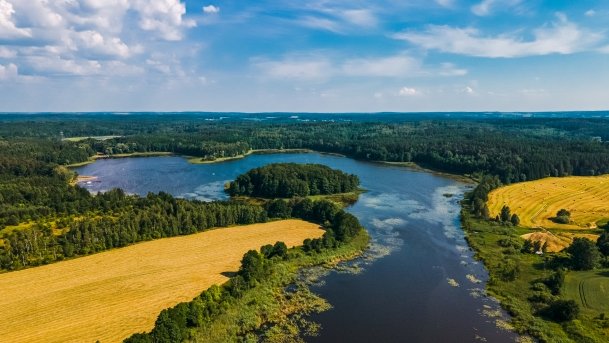 Siercze - zdjęcie 3