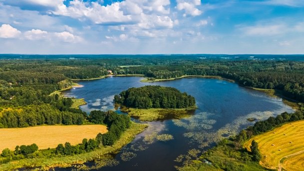 Siercze - zdjęcie 1