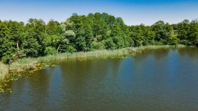 jezioro Rekąty - zdjęcie 4