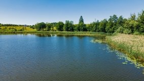 jezioro Rekąty - zdjęcie 3