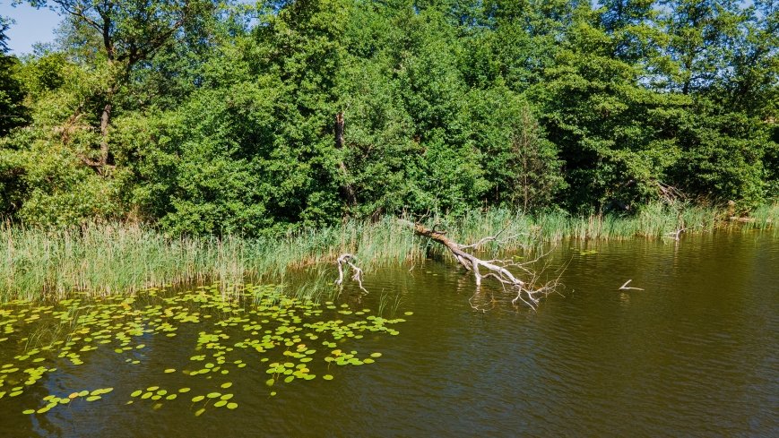 jezioro Rekąty - zdjęcie 1