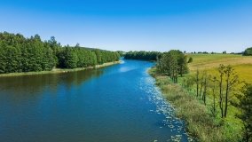 jezioro Krzywe - zdjęcie 15