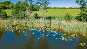 jezioro Krzywe - zdjęcie 14