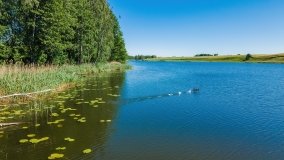 jezioro Krzywe - zdjęcie 9