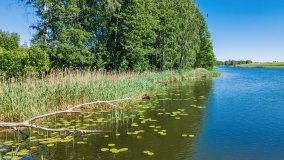 jezioro Krzywe - zdjęcie 8