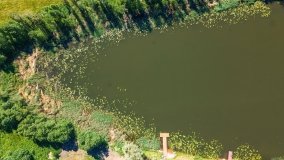 jezioro Krzywe - zdjęcie 3