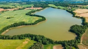 jezioro Dobrzyń - zdjęcie 8