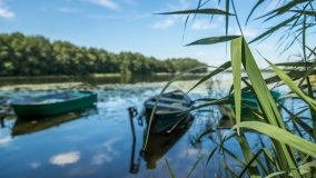 Jezioro Sawinda Wielka - zdjęcie 16