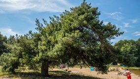 Jezioro Sawinda Wielka - zdjęcie 3