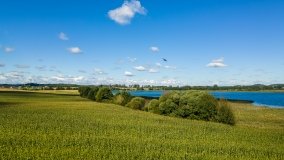 Jezioro Haleckie - zdjęcie 16